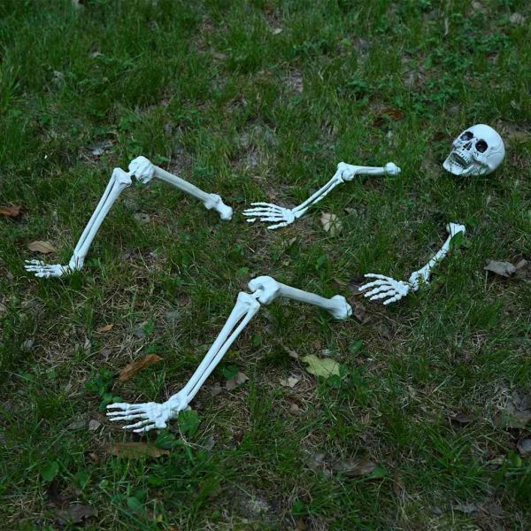 Хелоуин скелет с наземни шипове Бяло 45,5 x 13 см Полипропилен