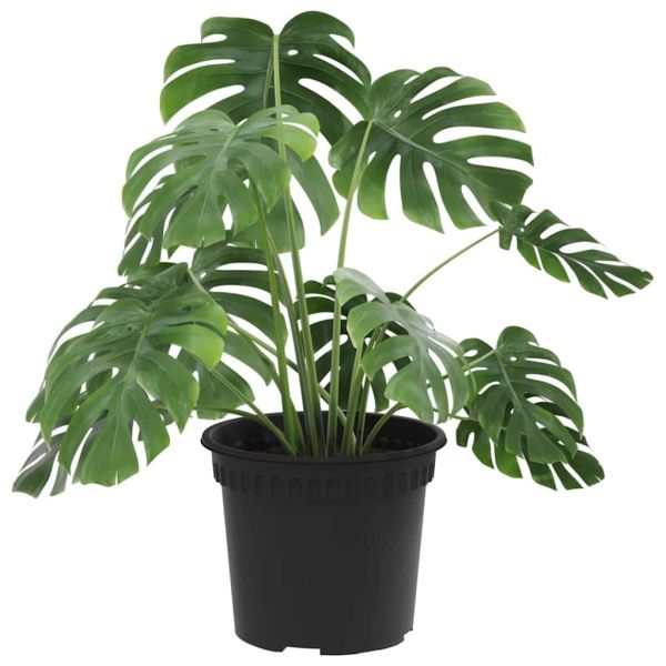Кръгла саксия за цветя 6 pcs Черно Ø 12,5 x 10 см Пластмаса