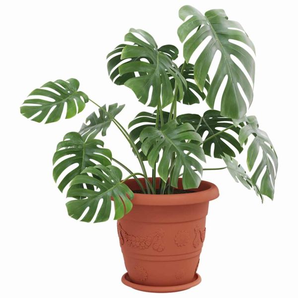 Кръгъл поднос за цветя 24 pcs Червено тухла Ø 27 x 2,5 см