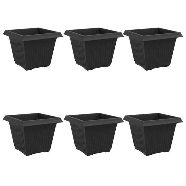 Квадратна цветна саксия 6 pcs Черно 43 x 43 x 33,5 см Пластмаса