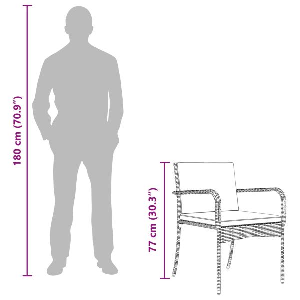 Градински комплект с възглавница стомана