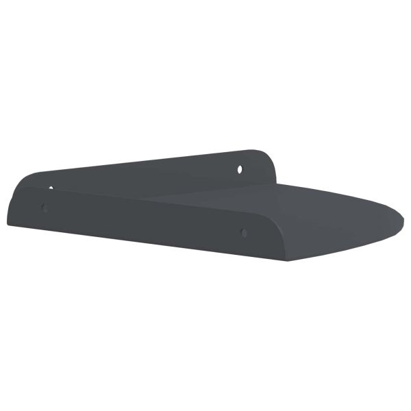 Плаващ рафт с рафт със съхранение 2 pcs Антрацит 24 x 24 x 2 см