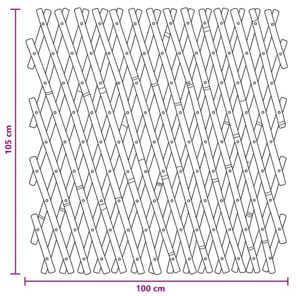 Разширяема решетъчна ограда 2 pcs Светло кафяво 100 x 105 см