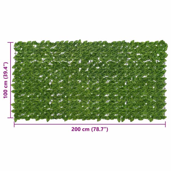 Завеса за балкон с листа Зелен и жълт 200 x 100 cm