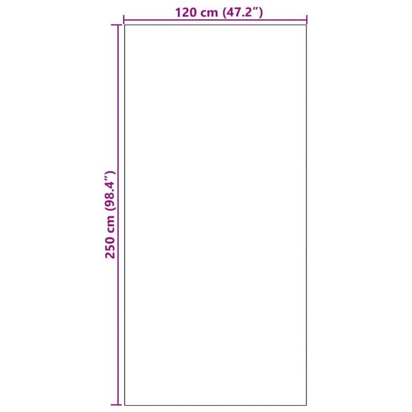 Мат за врата Друг Черно 120 x 250 cm Полиамид и PVC