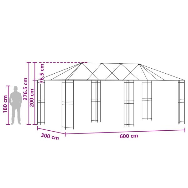 Купол за градина 6 x 3 m Черно Стомана
