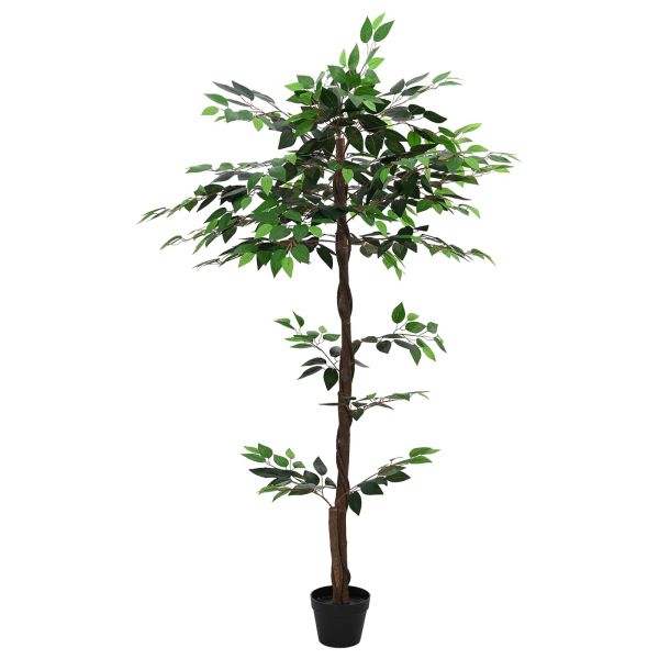 Изкуствено фикус растение Зелено 85 x 18 x 160 см