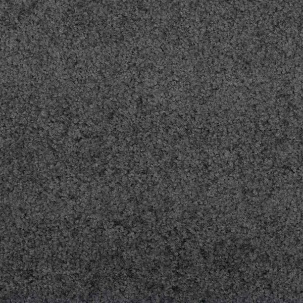 Мат за врата Друг Антрацит и черен 120 x 250 cm Полиамид и PVC