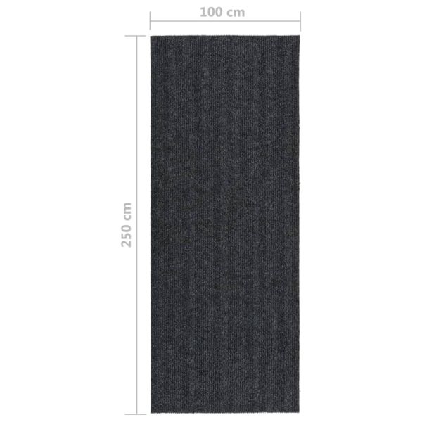 Абсорбиращо мръсотията килимче, 100x250 см, антрацит