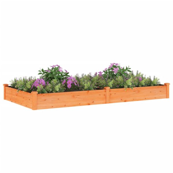 Градинска повдигната леха с вложка кафяв 240x120x25см ела масив