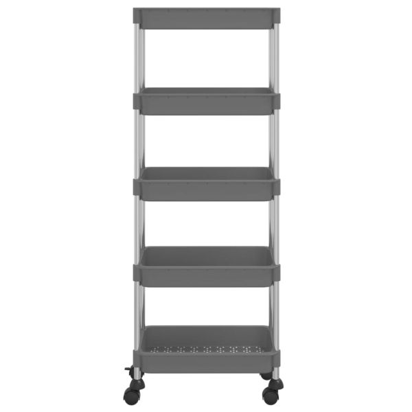 Кухненска количка на 5 нива, сива, 42x29x128 см, желязо и ABS