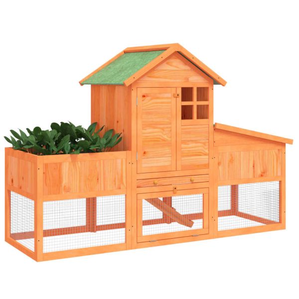 Клетка за зайци кафява 170x63x113 см борово дърво масив