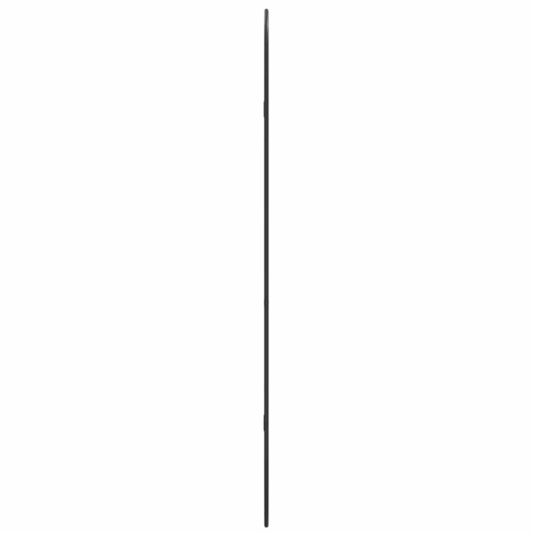 Стенно огледало черно 100x45 см овално