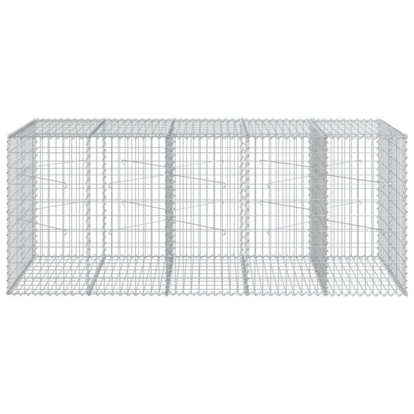 Габионна кошница с покритие, 250x100x100 см, поцинковано желязо