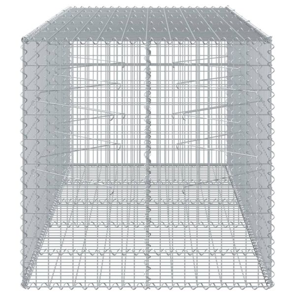 Габионна кошница с покритие, 250x100x100 см, поцинковано желязо