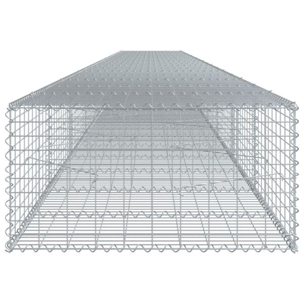 Габионна кошница с покритие, 1000x100x50 см, поцинковано желязо
