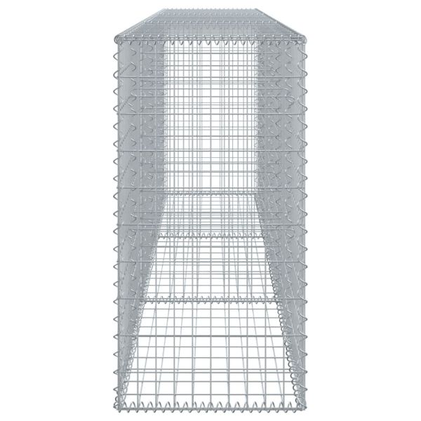 Габионна кошница с покритие, 300x50x100 см, поцинковано желязо
