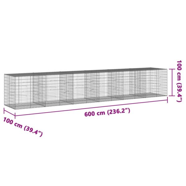 Габионна кошница с покритие, 600x100x100 см, поцинковано желязо