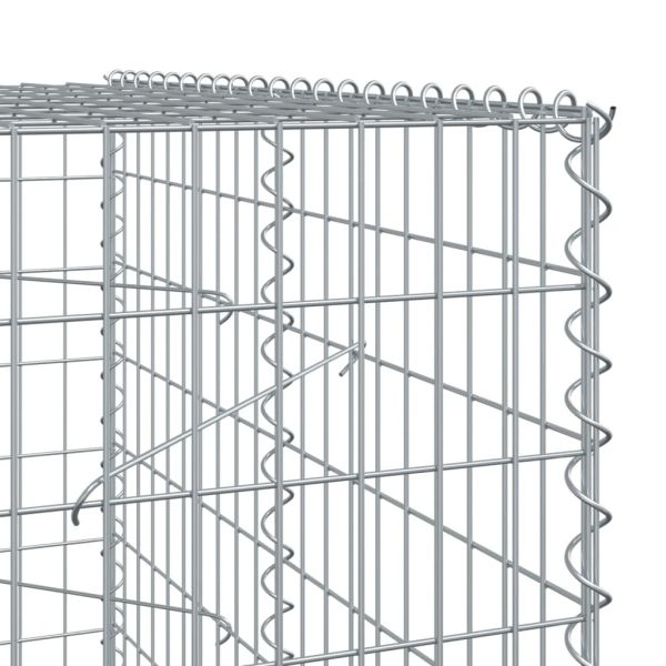 Габионна кошница с покритие, 250x100x200 см, поцинковано желязо