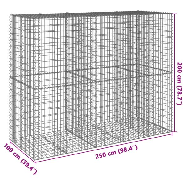 Габионна кошница с покритие, 250x100x200 см, поцинковано желязо