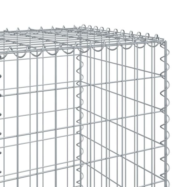 Габионна кошница с покритие, 300x50x150 см, поцинковано желязо
