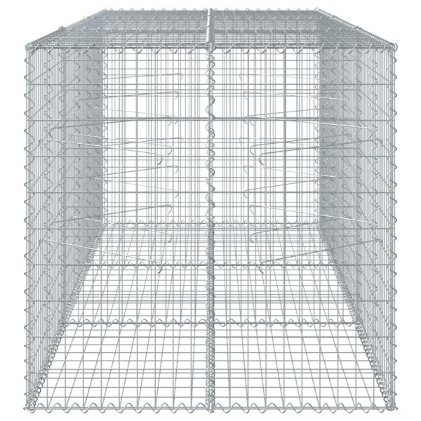 Габионна кошница с покритие, 300x100x100 см, поцинковано желязо