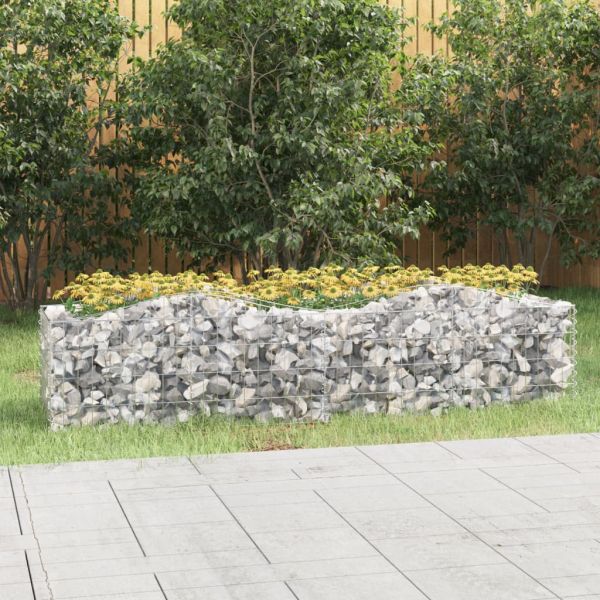 Извит габион повдигната леха 200x50x50 см поцинковано желязо