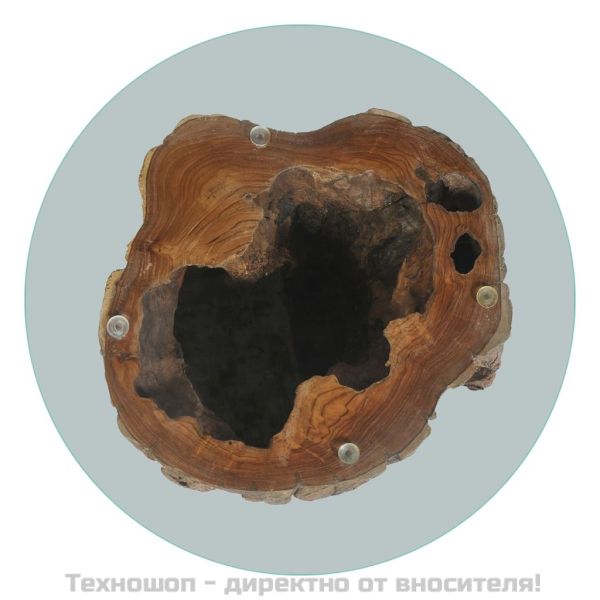 Маса за кафе, тиково дърво и стъкло, 50x40 cм