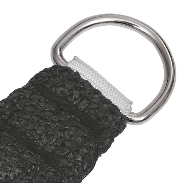 311104 Sunshade Sail 160 g/m² Anthracite 3/4x3 m HDPE