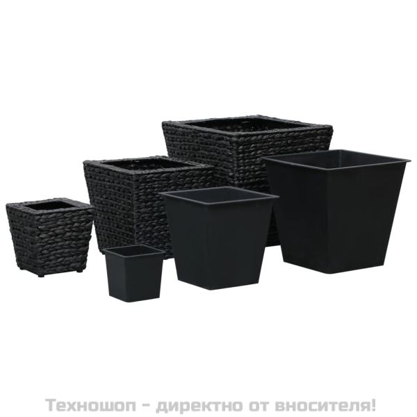 Повдигнати лехи, 3 бр, воден хиацинт, черни