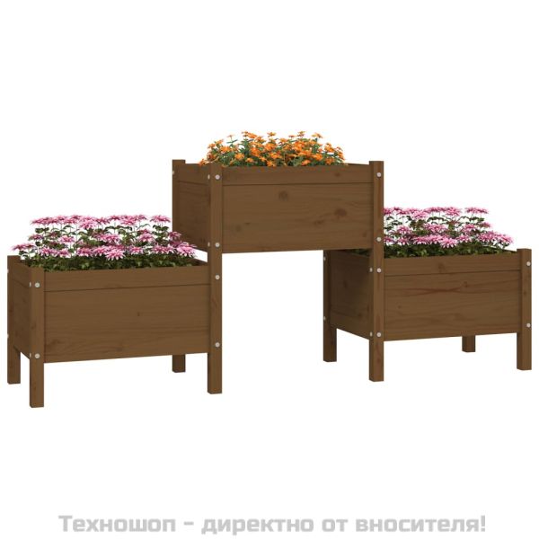 Плантер, меденокафяв, 178,5x44x75 см, борово дърво масив