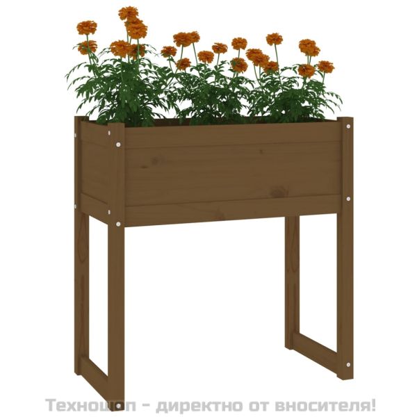 Плантер, меденокафяв, 78x40x81 см, борово дърво масив