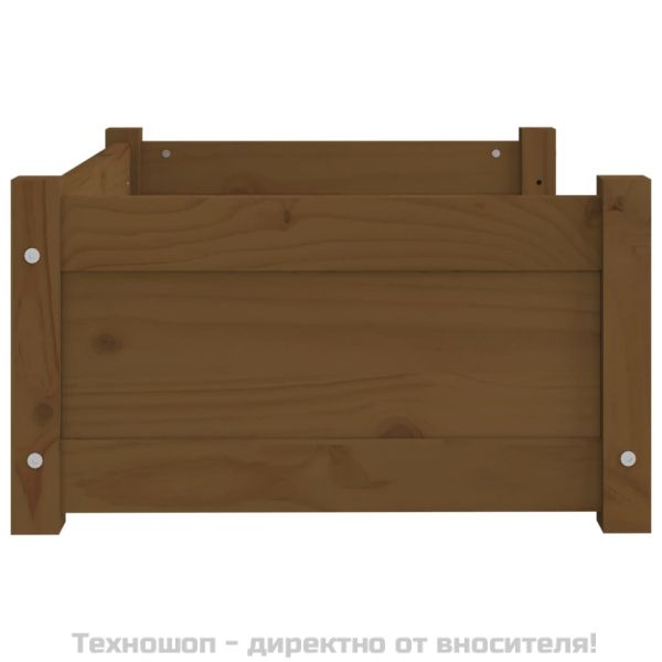 Кучешко легло, меденокафяво, 65,5x50,5x28 см, бор масив