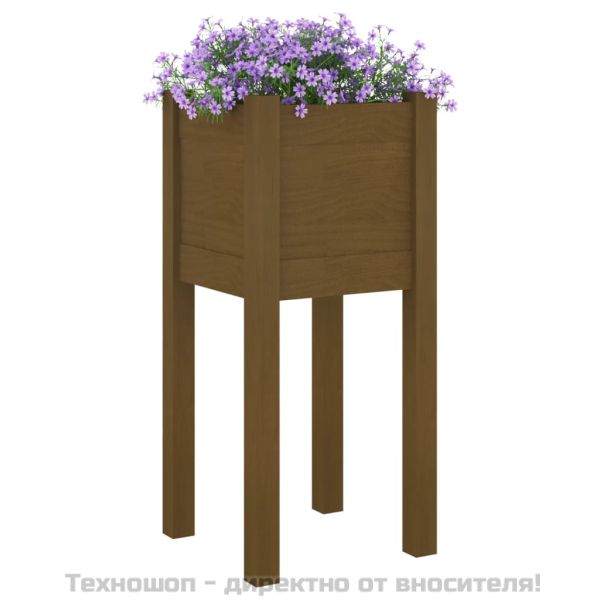 Градински сандъци, 2 бр, меденокафяви, 31x31x70 см, бор масив