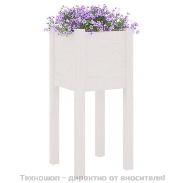 Градински сандъци, 2 бр, бели, 31x31x70 см, борово дърво масив