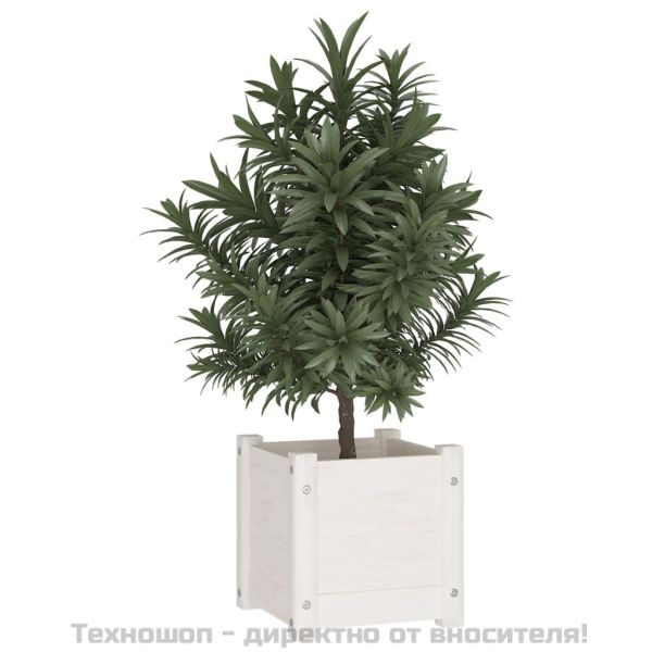 Градински сандък, бял, 31x31x31 см, бор масив