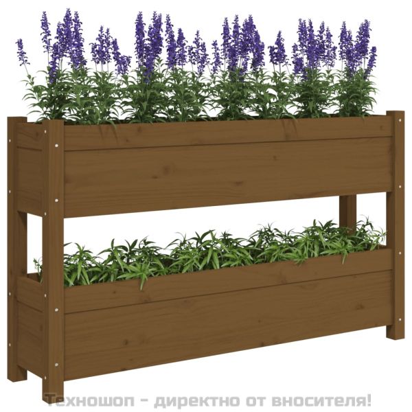 Плантер, меденокафяв, 112x25x66 см, борово дърво масив
