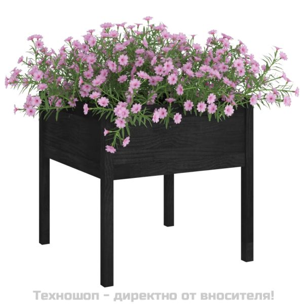 Градински сандъци, 2 бр, черни, 70x70x70 см, бор масив