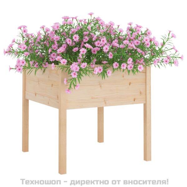 Градински сандъци, 2 бр, 70x70x70 см, борово дърво масив