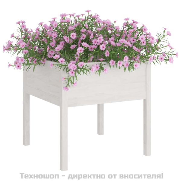 Градински сандък, бял, 70x70x70 см, бор масив