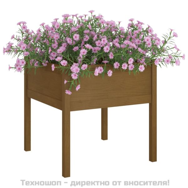 Градински сандъци, 2 бр, меденокафяви, 70x70x70 см, бор масив