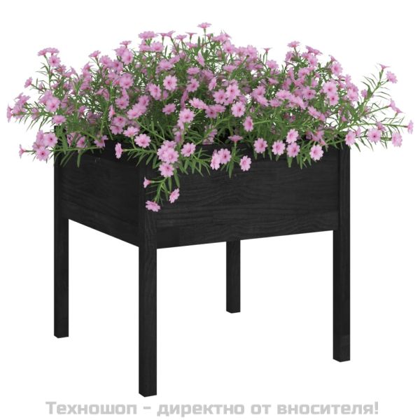 Градински сандък, черен, 70x70x70 см, бор масив