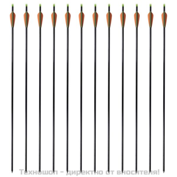 Стандартни стрели за съставен лък 30" 0,8 см, 12 бр, фибростъкло