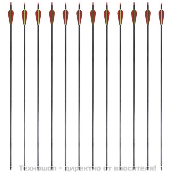 Стандартни стрели за лък 0,76 см карбонови 12 бр.