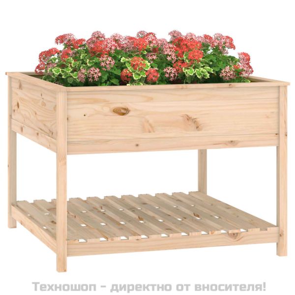 Плантер с рафт, 111,5x111,5x81 см, борово дърво масив