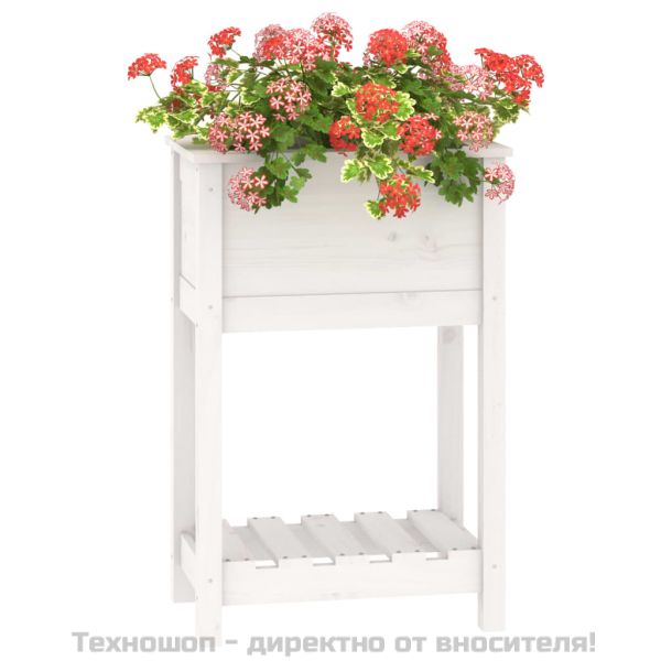 Плантер с рафт, бяла, 54x34,5x81 см, борово дърво масив