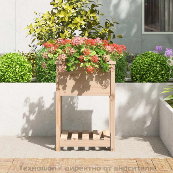 Плантер с рафт, 54x54x81 см, борово дърво масив
