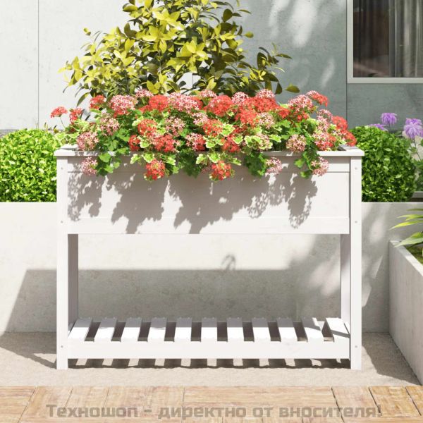 Плантер с рафт, бяла, 111,5x54x81 см, борово дърво масив