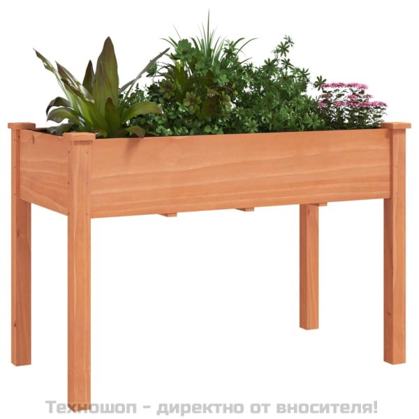 Саксия с вложка, кафява, 118x59x76 см масивна ела