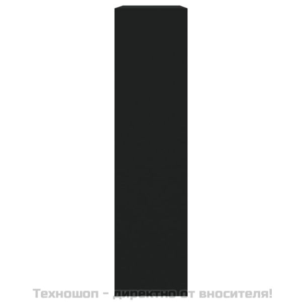 Шкаф за обувки с огледало, 2 нива, черен, 63x17x67 см